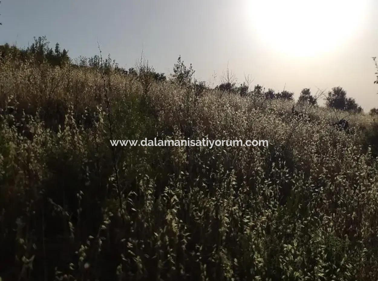 Dalaman, Elcik Village - Land For Sale