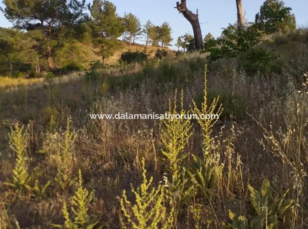 Dalaman, Elcik Village - Land For Sale