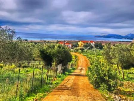 Dalaman, Kayacık - Land For Sale With Sea View