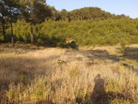 Dalaman, Elcik Village - Land For Sale